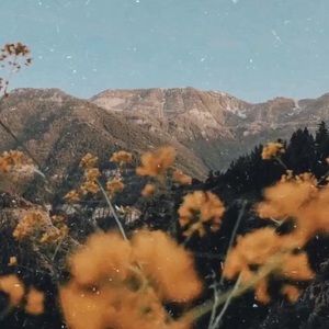 Meet your Posher, Sofia